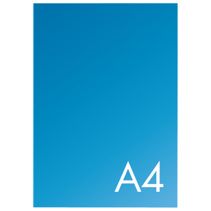 Equipo de la empresa