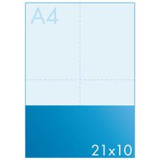 Equipo de la empresa