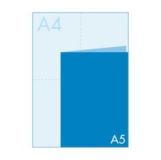Equipo de la empresa