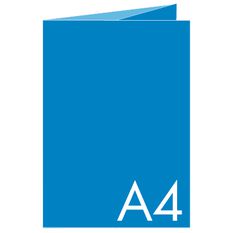 Equipo de la empresa